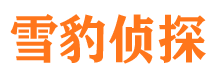 璧山市婚姻调查